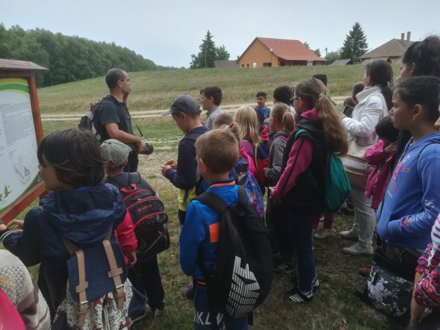 Szafi Tanoda