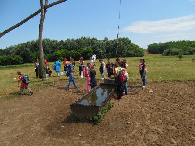 Szafi Camping - Nyári táborok 2015